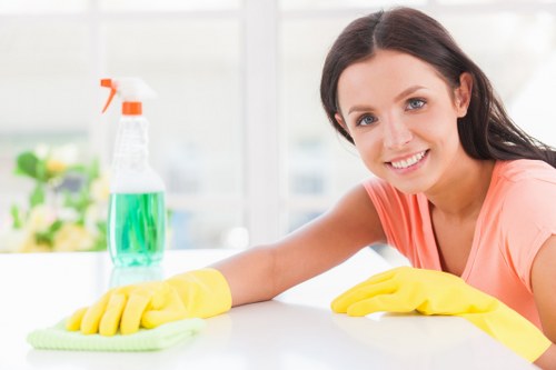 Illustration representing essential website cookies for Carpet Cleaners Barnes