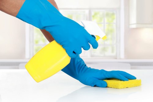 Cleaning equipment beside a carpeted room during service