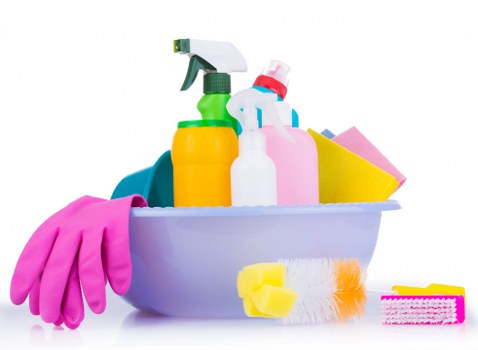Professional reviewing a carpet cleaning complaint