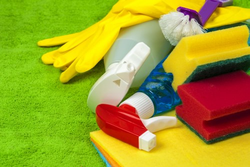 Professional oven cleaning in a Barnes property
