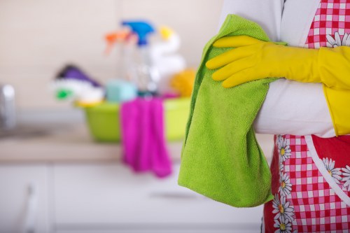 Furniture and carpet stain removal service in Barnes