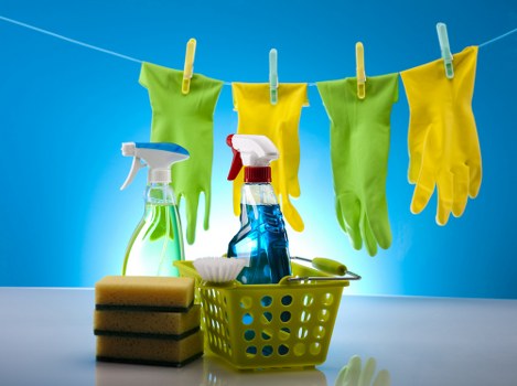 Professional cleaner maintaining a kitchen in Barnes